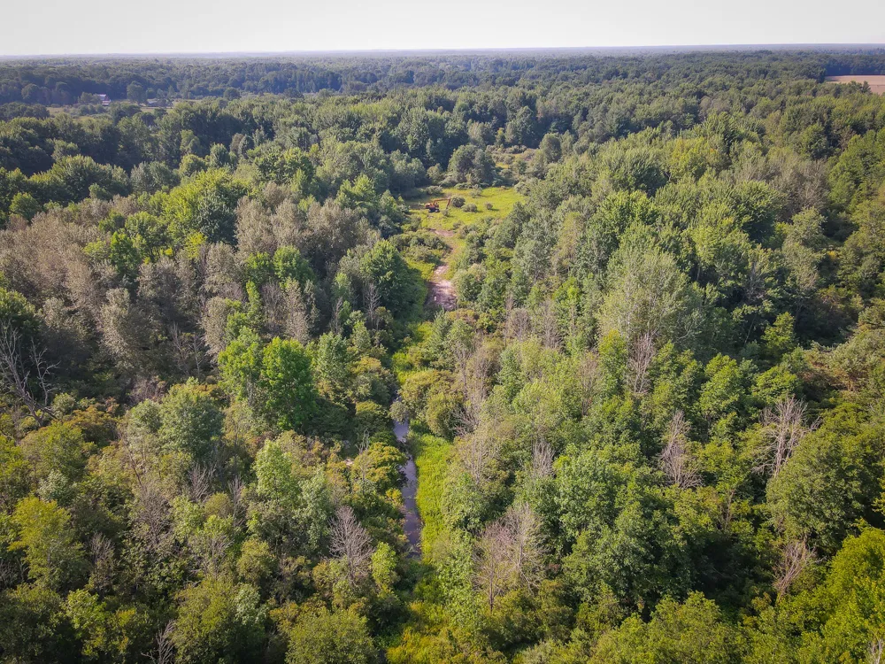20 S 168th Avenue Hesperia, MI 49421