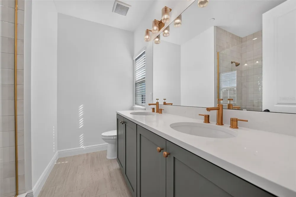 13325 LUSH LIME ALLEY Windermere, FL 34786