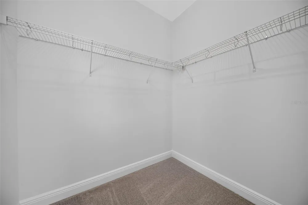 13325 LUSH LIME ALLEY Windermere, FL 34786