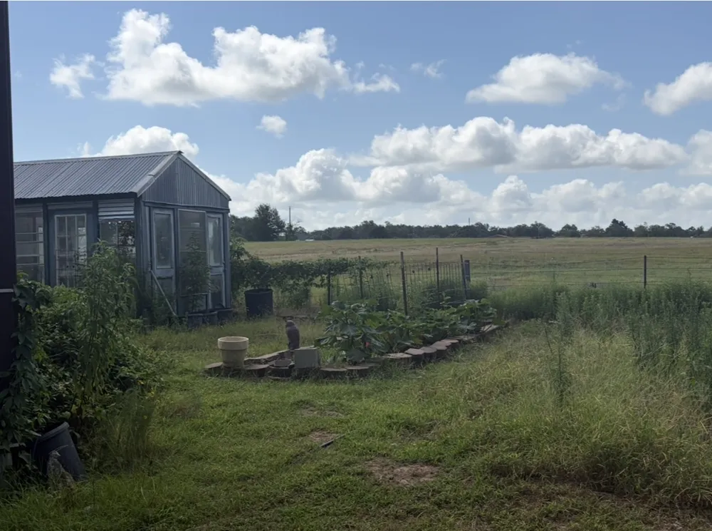 1226 County Road 316 Lexington, TX 78947