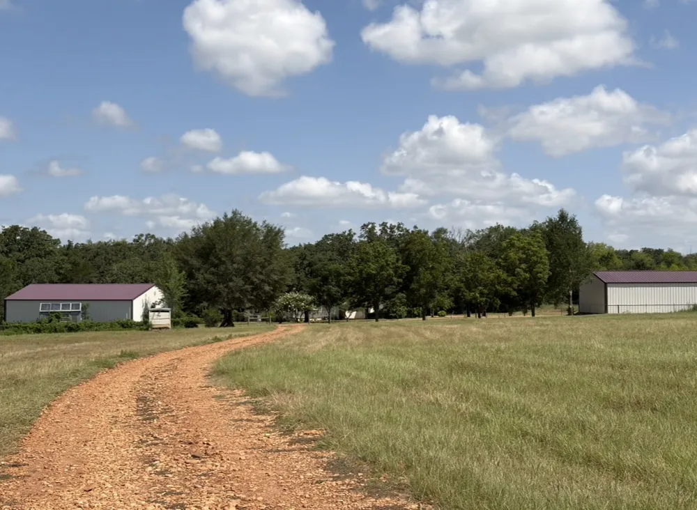 1226 County Road 316 Lexington, TX 78947