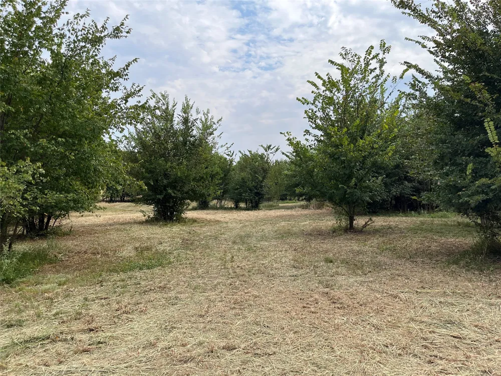 404 E Maple Street Ravenna, TX 75476