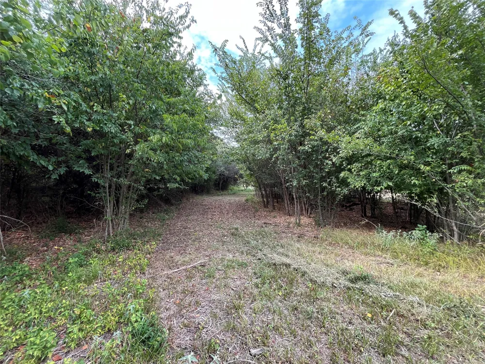 404 E Maple Street Ravenna, TX 75476