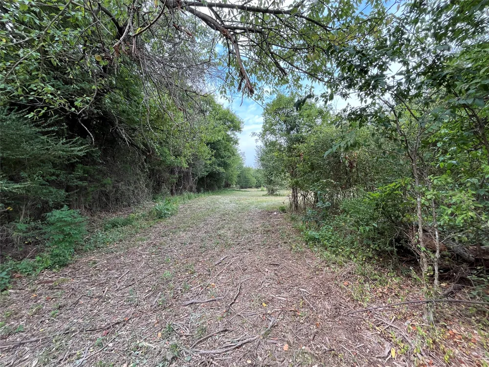 404 E Maple Street Ravenna, TX 75476