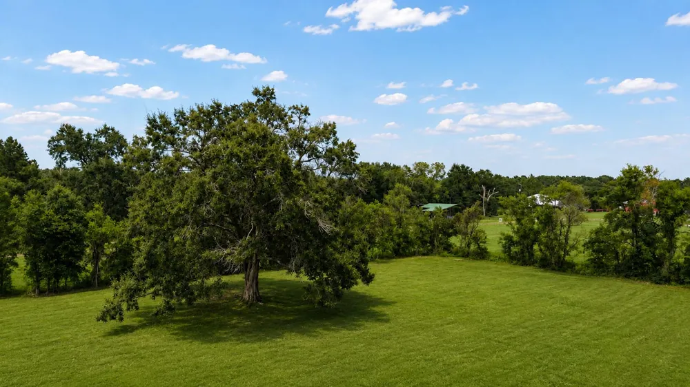 1536 Fm 253 Road Buna, TX 77612
