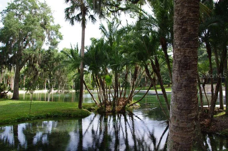 117 RED CEDAR DRIVE Longwood, FL 32779
