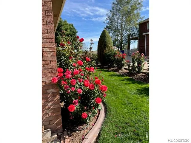 2238 Breckenridge Drive Berthoud, CO 80513