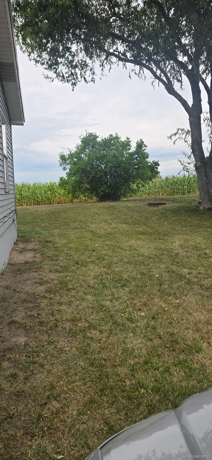 3440 Scotland Circle Pine River Township, MI 48801