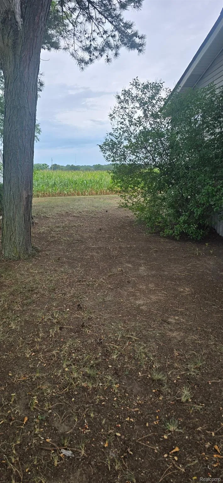 3440 Scotland Circle Pine River Township, MI 48801