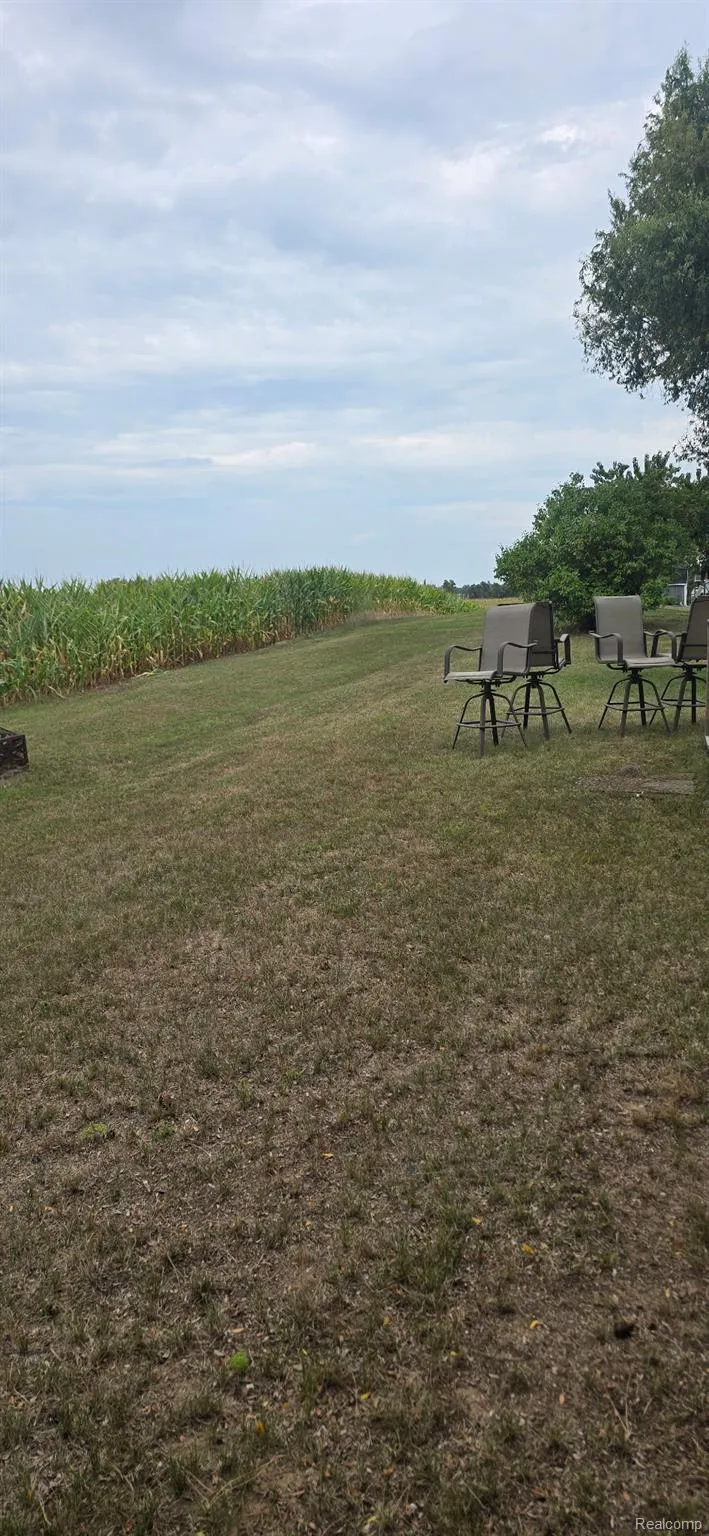 3440 Scotland Circle Pine River Township, MI 48801