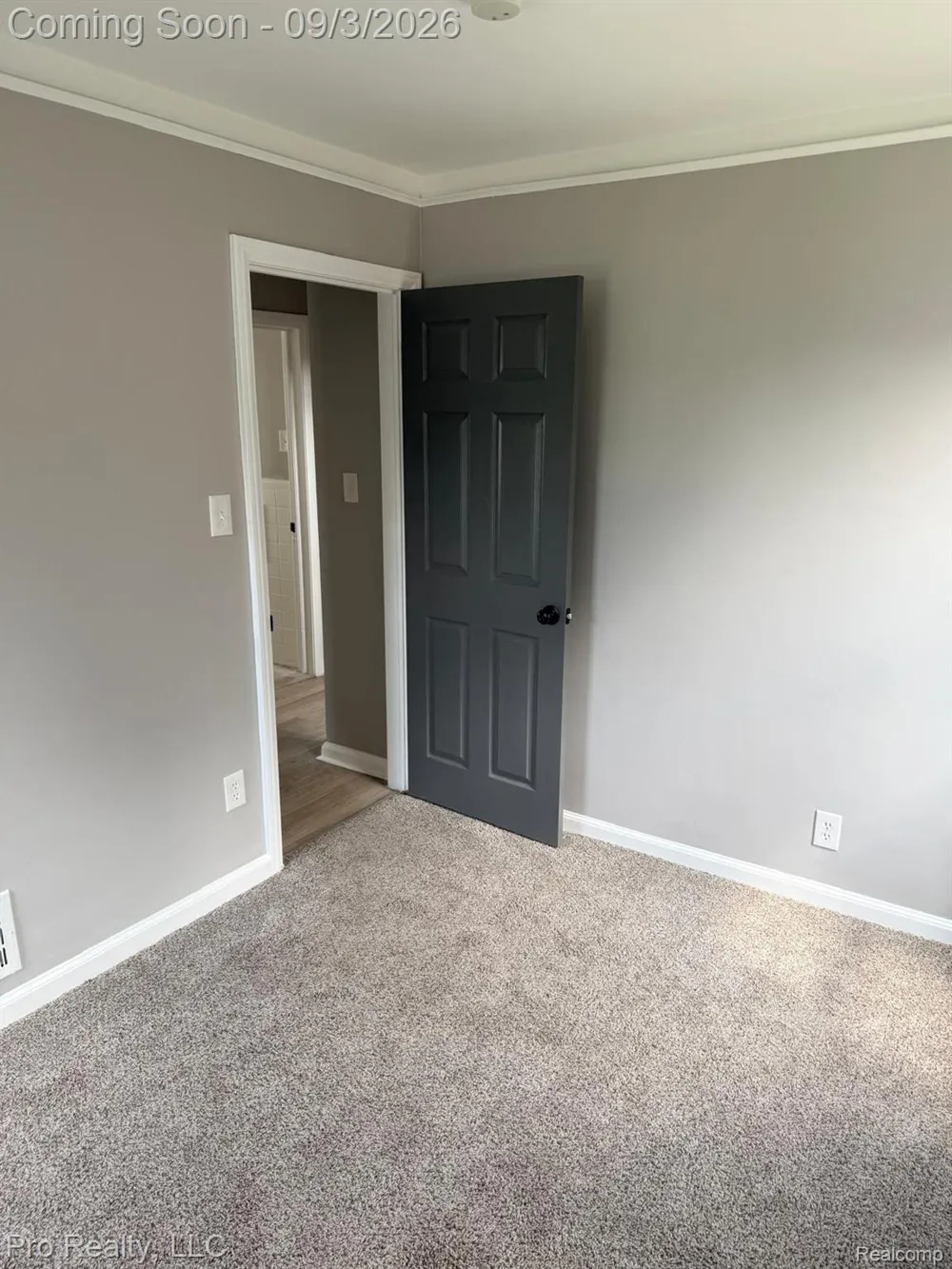 1115 Mill Street Lincoln Park City, MI 48146