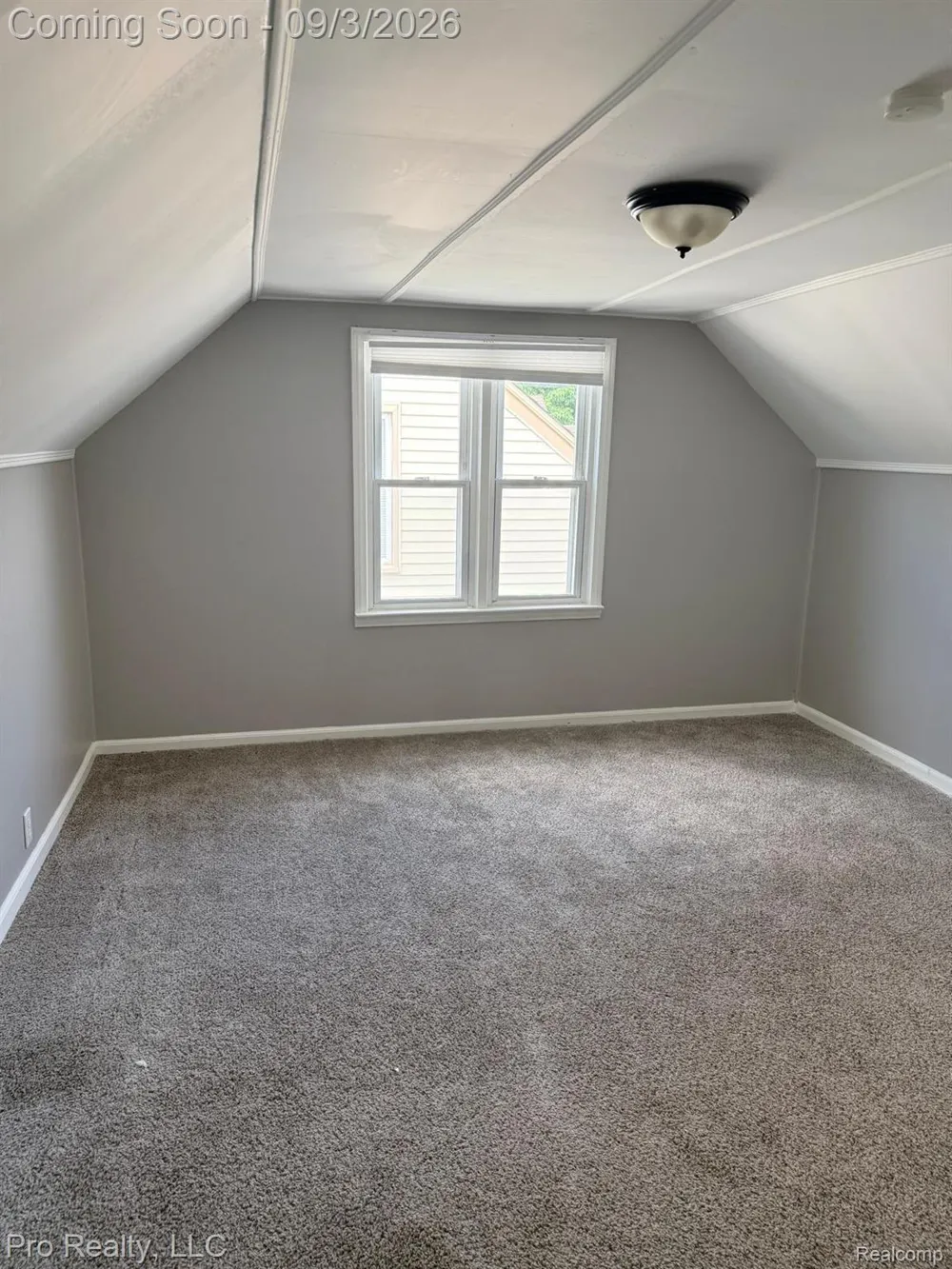 1115 Mill Street Lincoln Park City, MI 48146