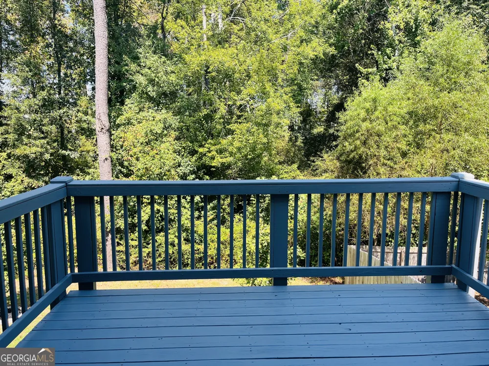 138 Silver Birch PASS Newnan, GA 30265