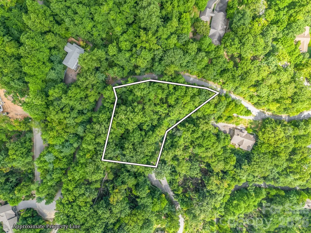 99999 Crestview Drive #A11 Black Mountain, NC 28711