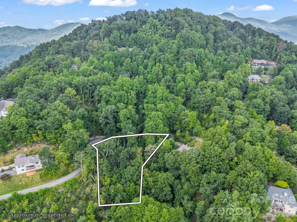 99999 Crestview Drive #A11 Black Mountain, NC 28711