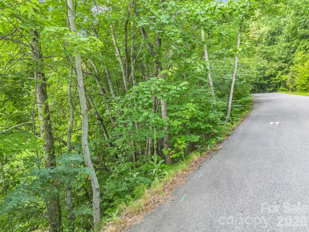 99999 Crestview Drive #A11 Black Mountain, NC 28711