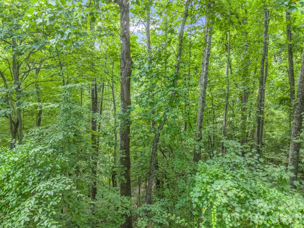 99999 Crestview Drive #A11 Black Mountain, NC 28711
