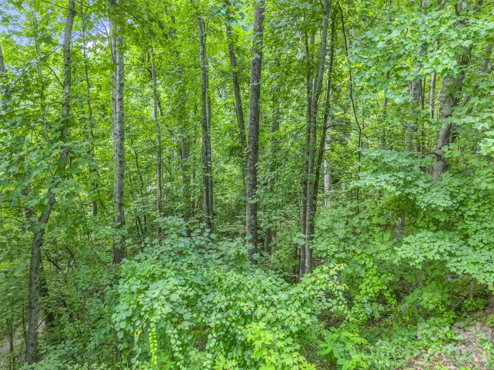 99999 Crestview Drive #A11 Black Mountain, NC 28711