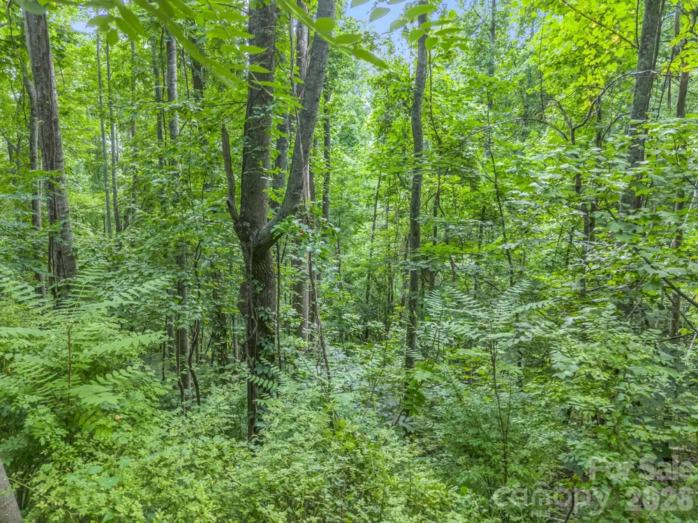 99999 Crestview Drive #A11 Black Mountain, NC 28711