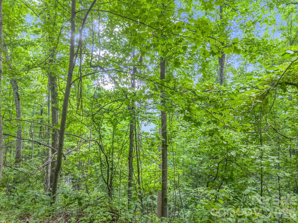 99999 Crestview Drive #A11 Black Mountain, NC 28711