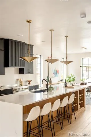 2409 S Lafayette Street Denver, CO 80210