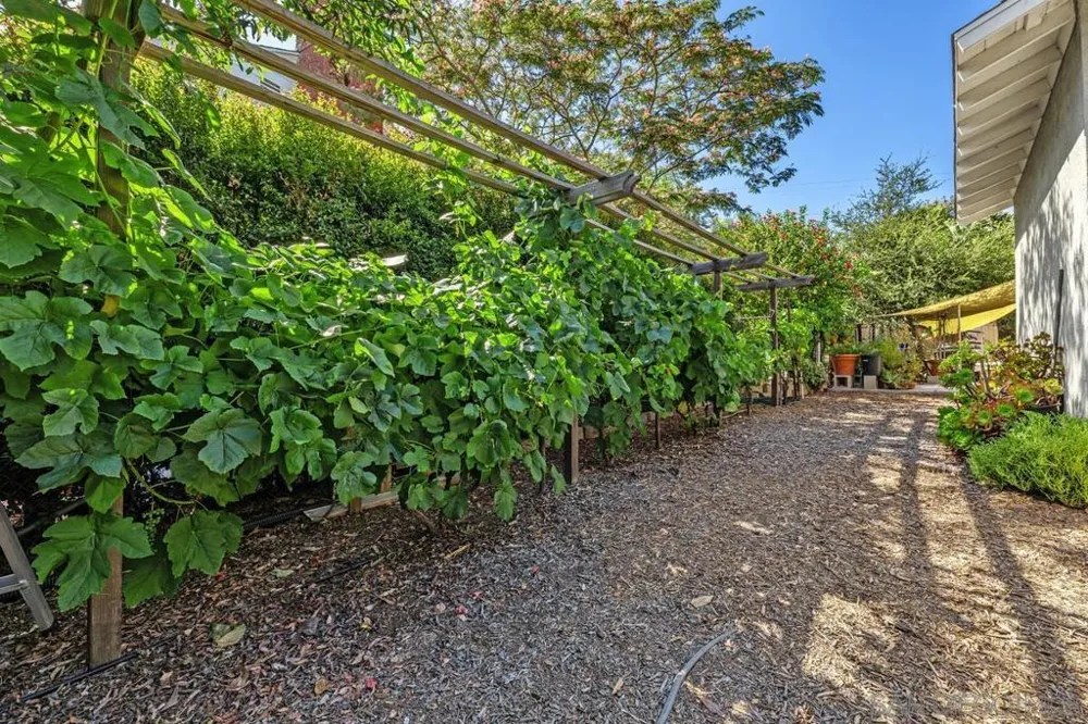 9865 Edgelake Drive La Mesa, CA 91941