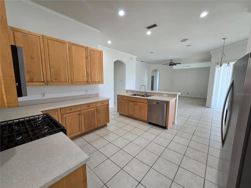 15305 PALOMAPARK LANE Lithia, FL 33547