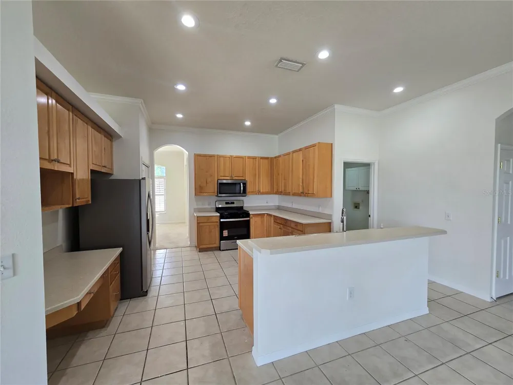 15305 PALOMAPARK LANE Lithia, FL 33547