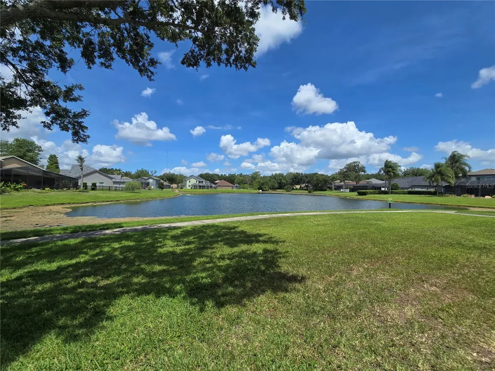 15305 PALOMAPARK LANE Lithia, FL 33547