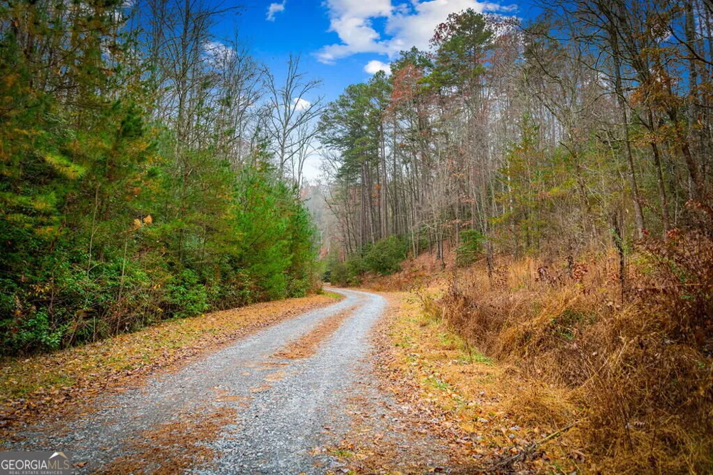 1.5 ACRE Bullen Gap RD Blue Ridge, GA 30513