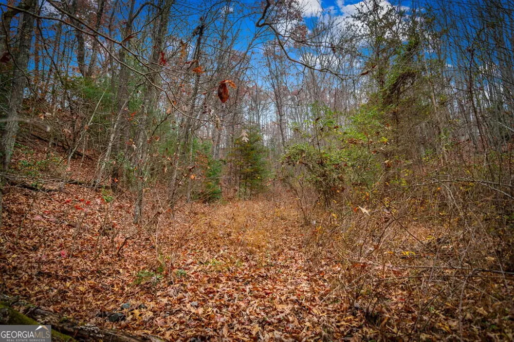 1.5 ACRE Bullen Gap RD Blue Ridge, GA 30513