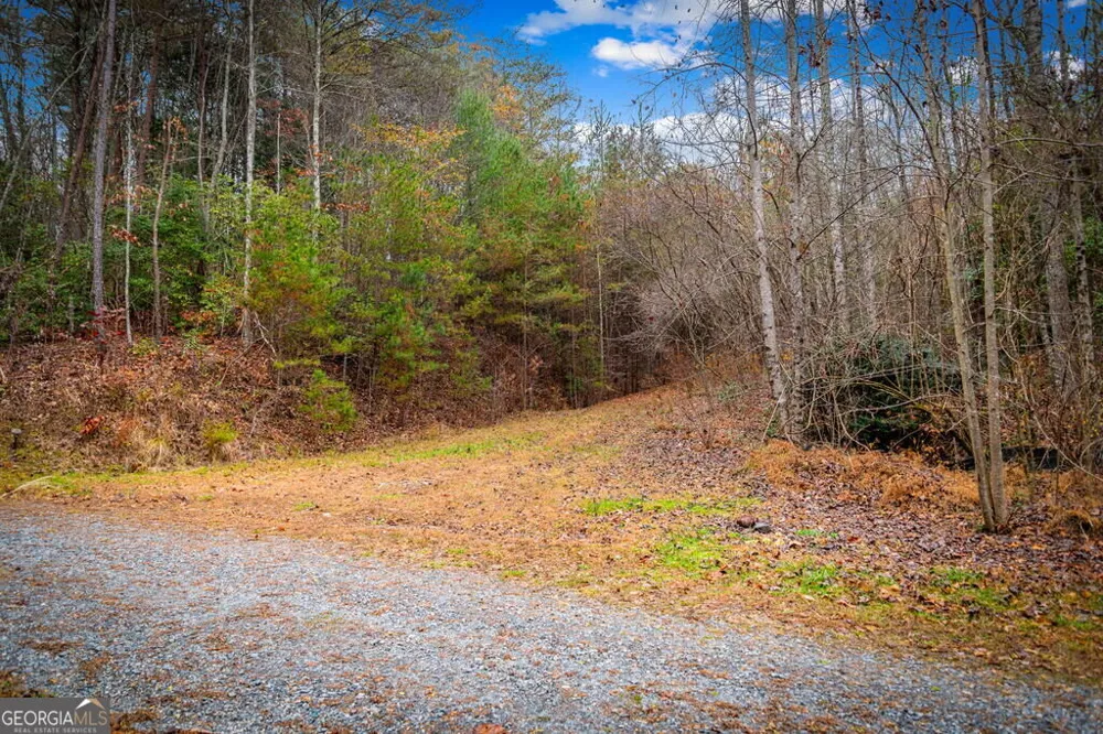 1.5 ACRE Bullen Gap RD Blue Ridge, GA 30513