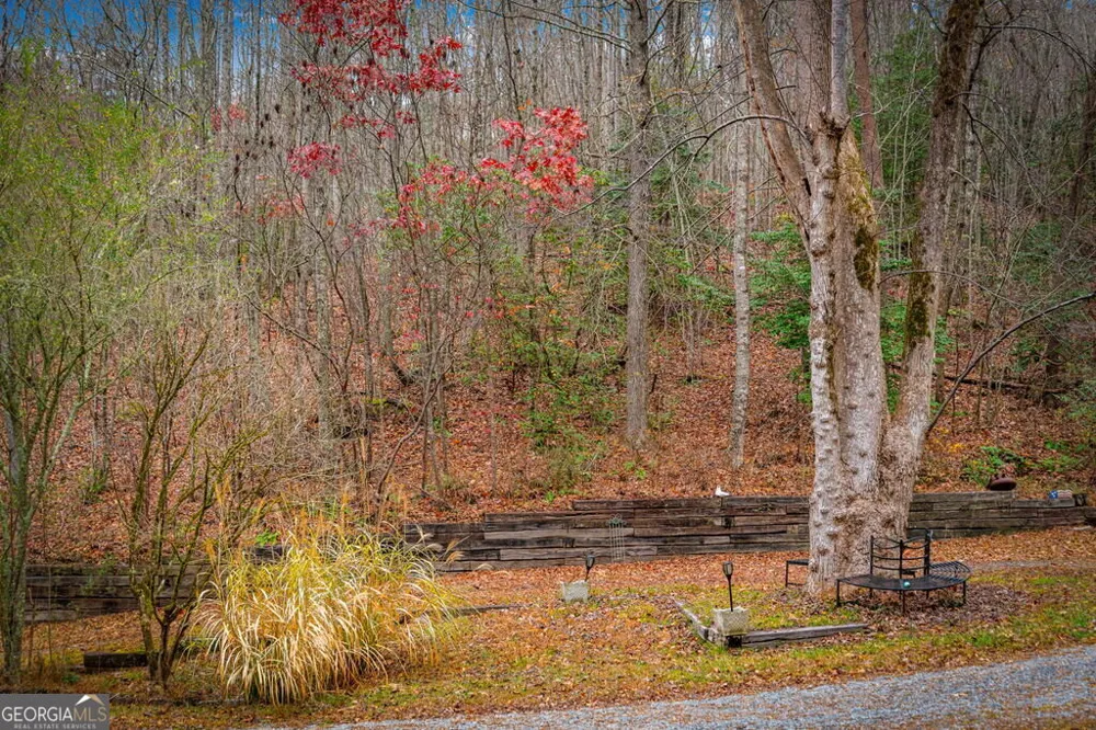 1.5 ACRE Bullen Gap RD Blue Ridge, GA 30513