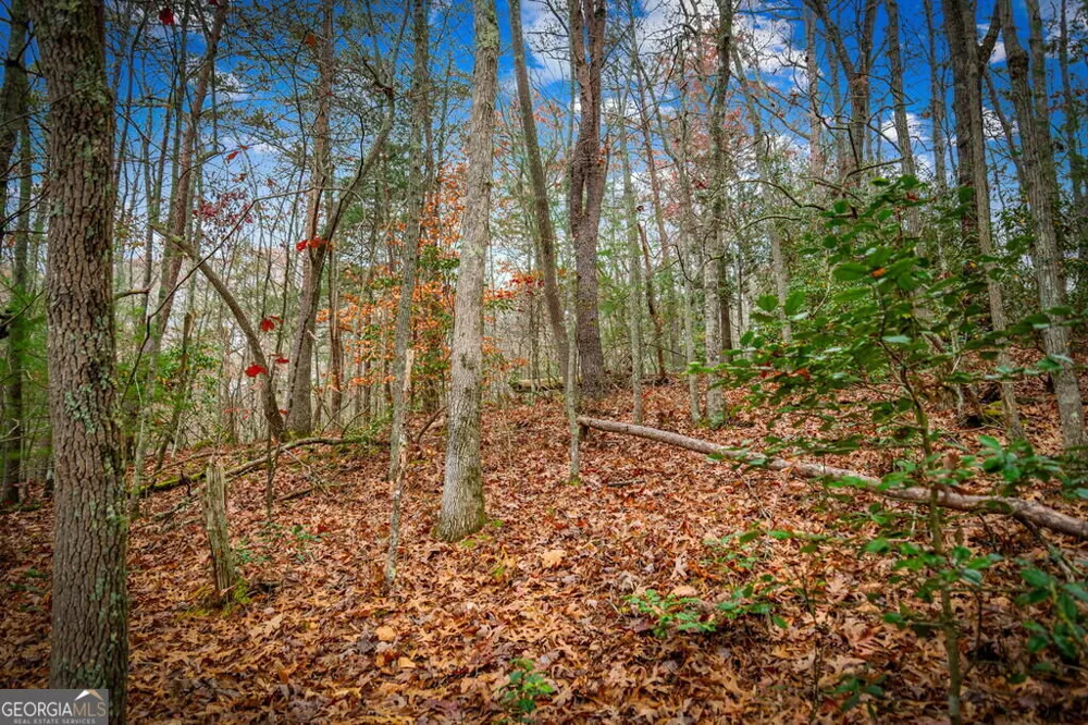 1.5 ACRE Bullen Gap RD Blue Ridge, GA 30513