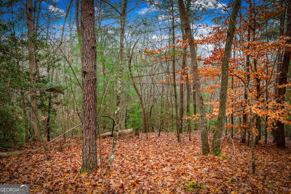 1.5 ACRE Bullen Gap RD Blue Ridge, GA 30513