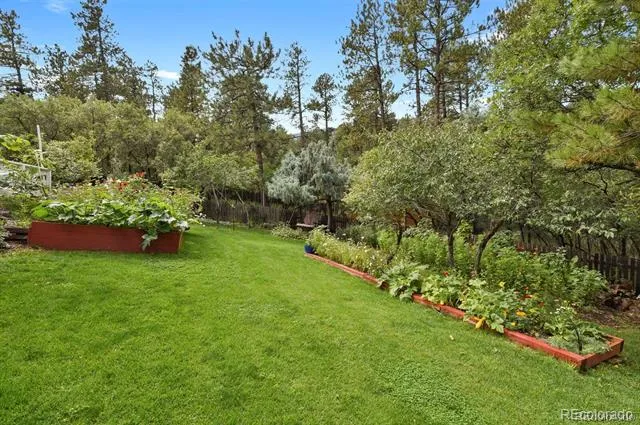 4693 Cheyenne Drive Larkspur, CO 80118