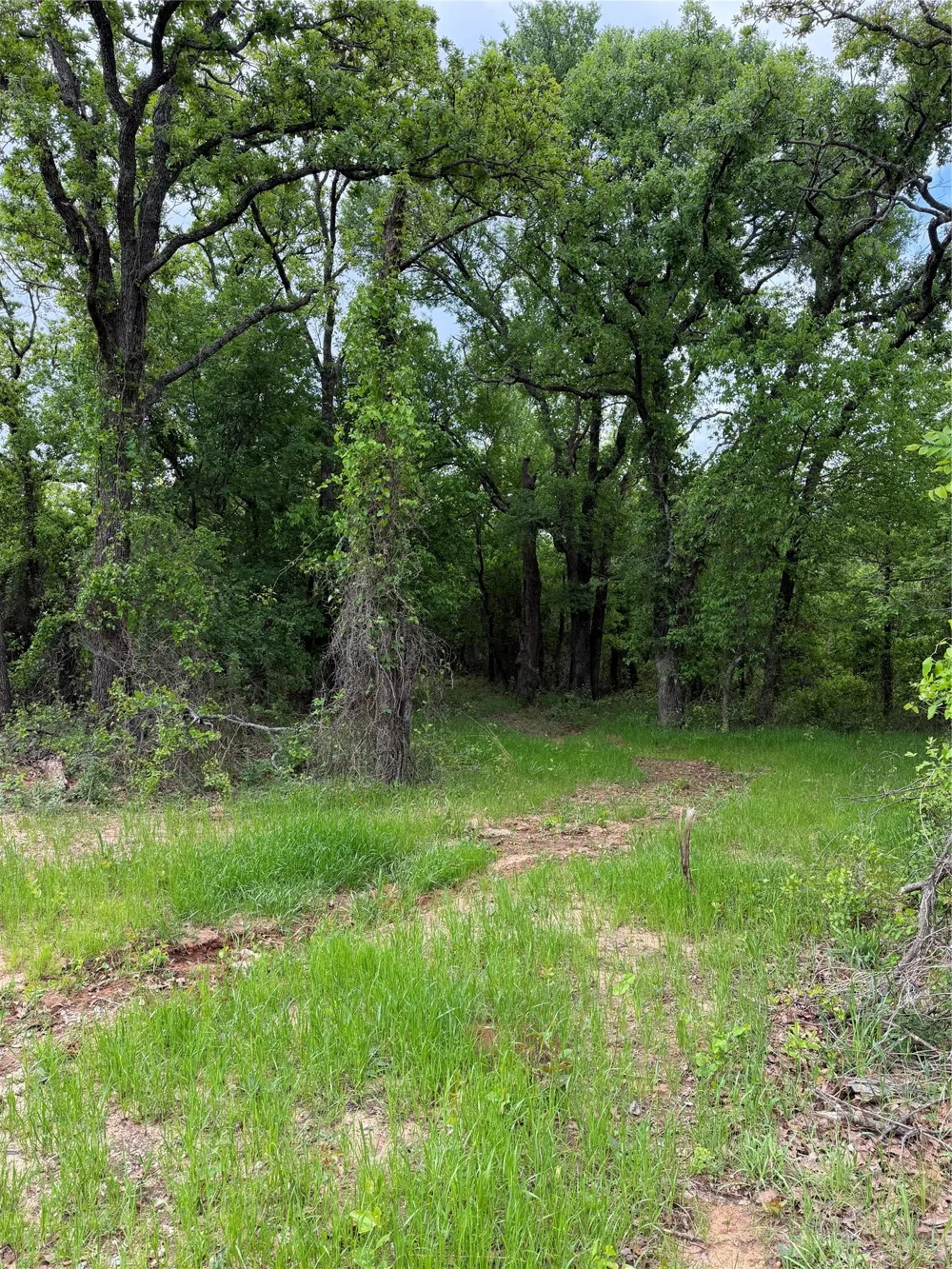 1576 Adell Circle Peaster, TX 76088