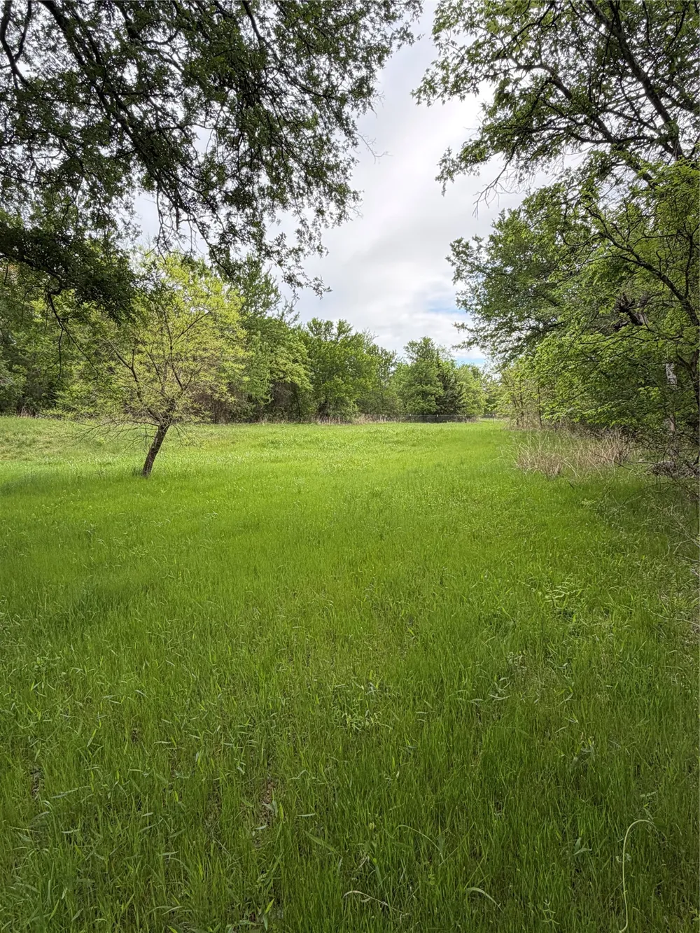 1576 Adell Circle Peaster, TX 76088
