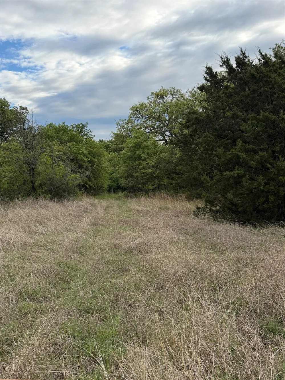 1576 Adell Circle Peaster, TX 76088
