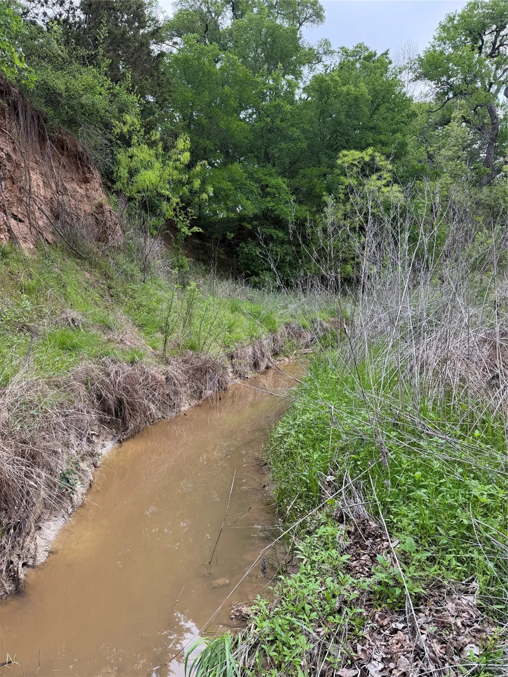 1576 Adell Circle Peaster, TX 76088
