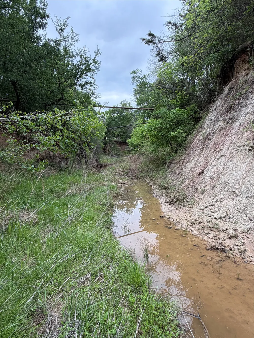1576 Adell Circle Peaster, TX 76088