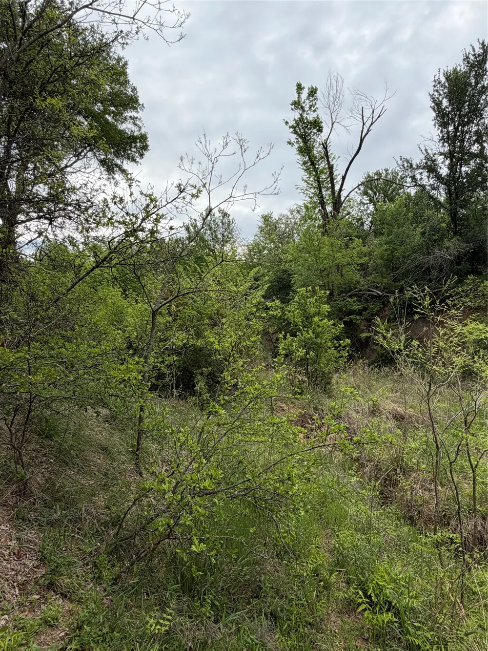 1576 Adell Circle Peaster, TX 76088