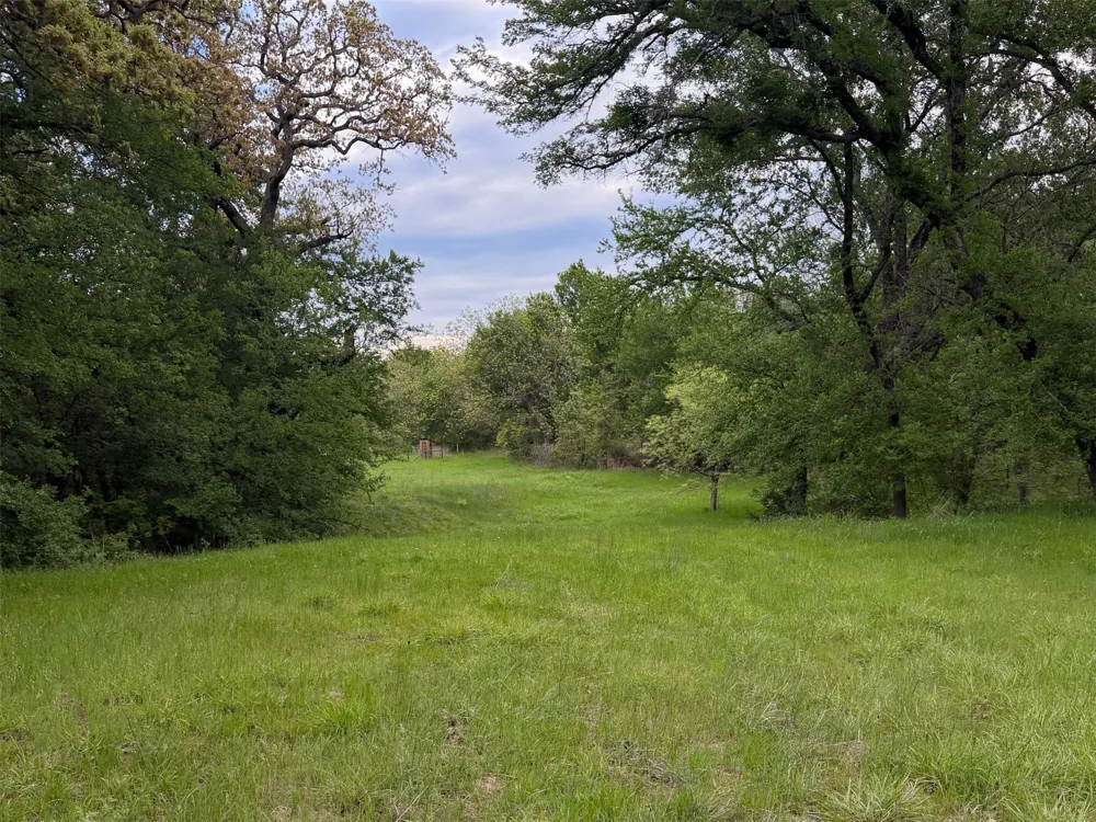 1576 Adell Circle Peaster, TX 76088