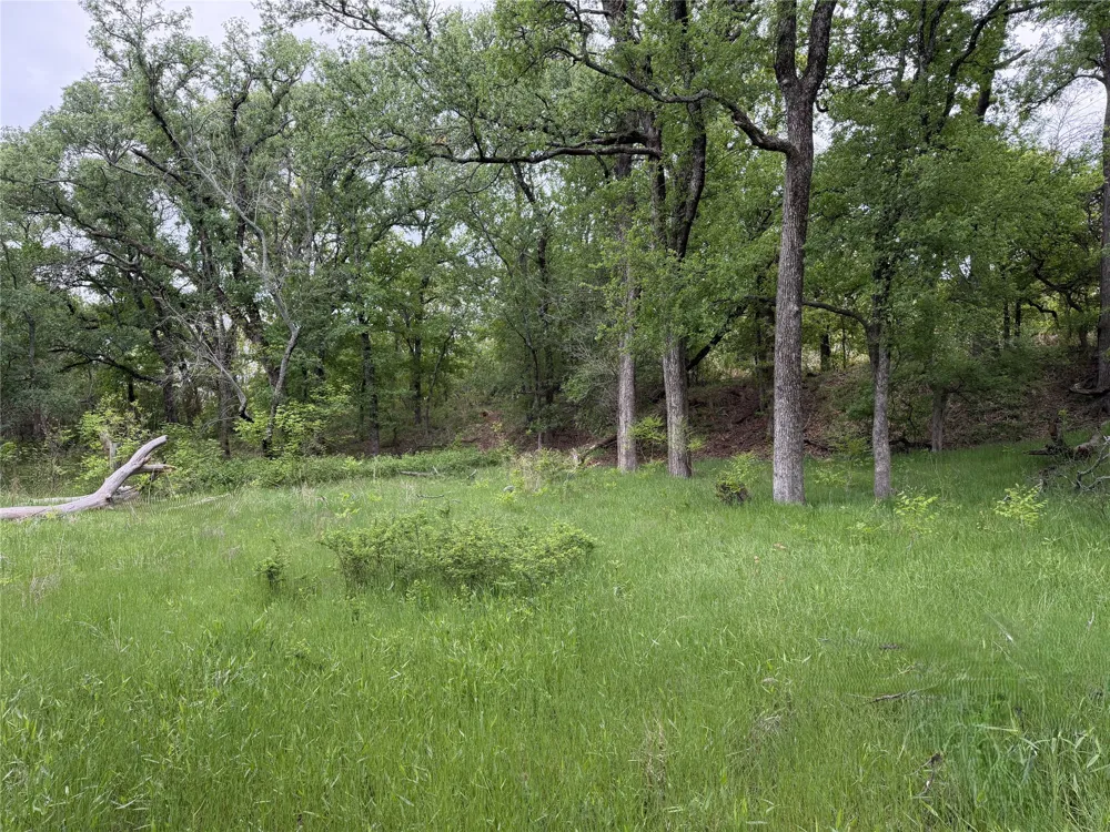 1576 Adell Circle Peaster, TX 76088