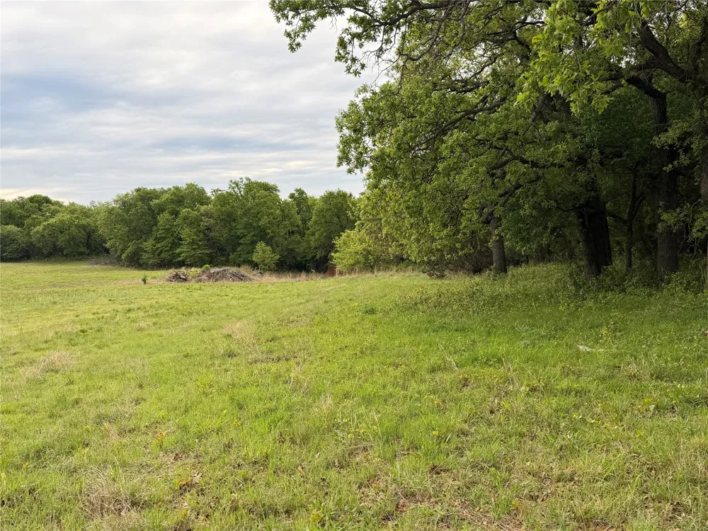 1576 Adell Circle Peaster, TX 76088
