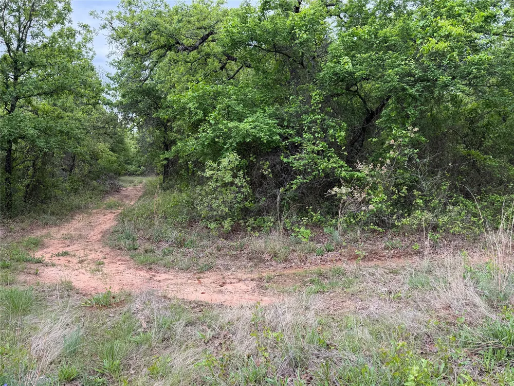1576 Adell Circle Peaster, TX 76088