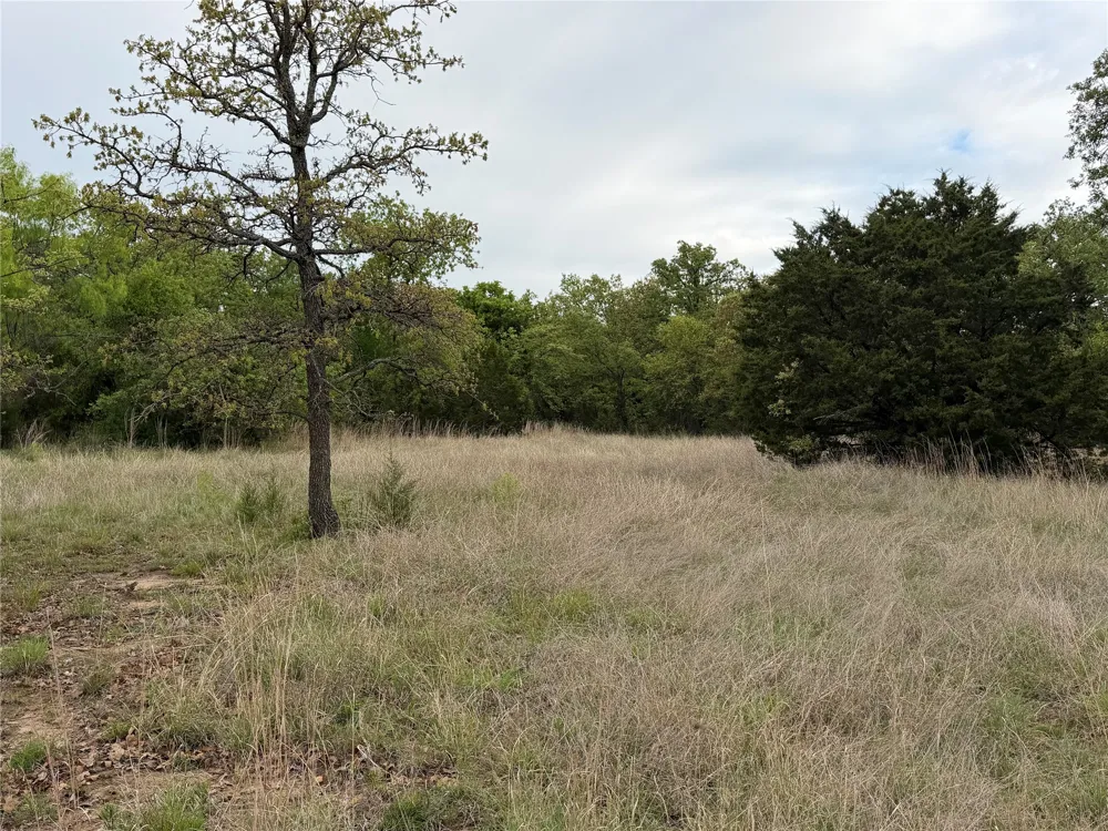 1576 Adell Circle Peaster, TX 76088
