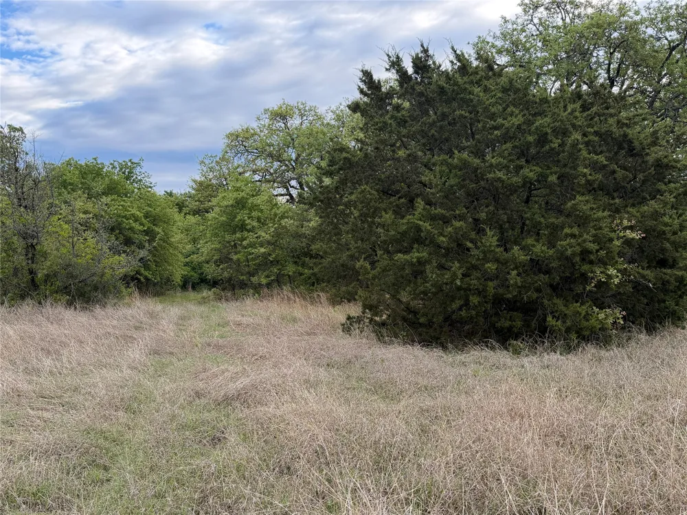 1576 Adell Circle Peaster, TX 76088