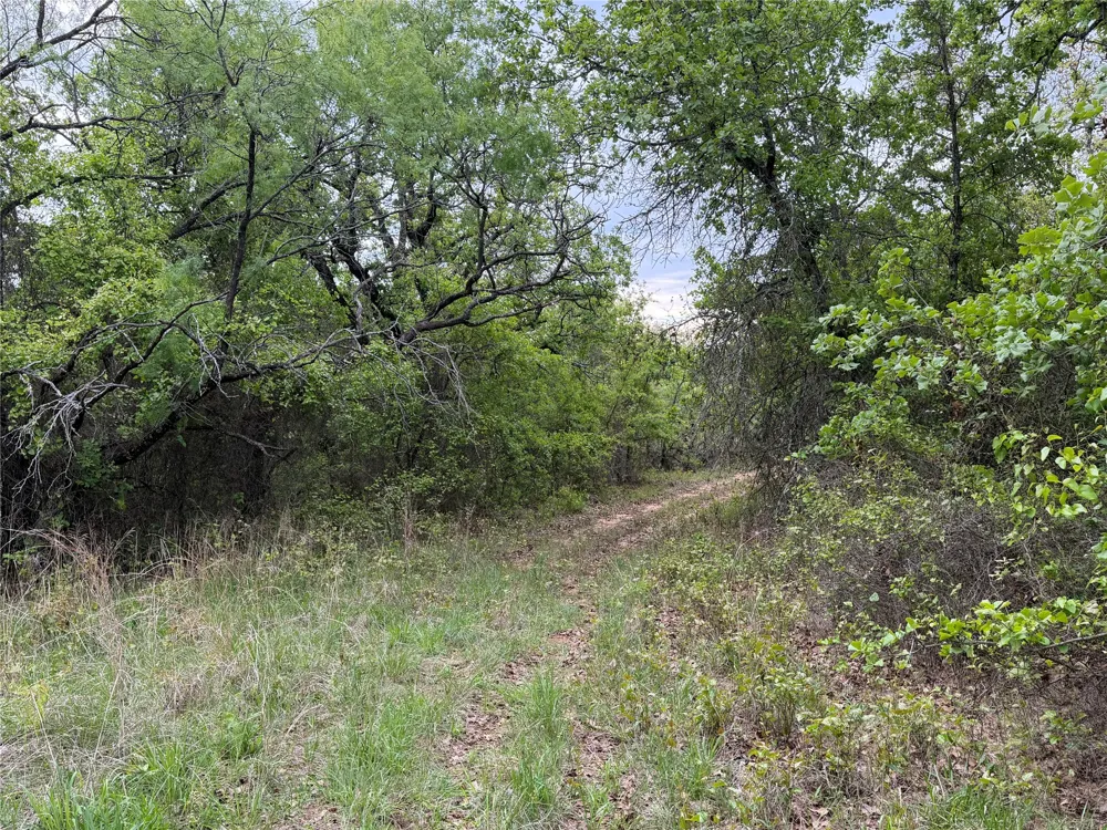 1576 Adell Circle Peaster, TX 76088