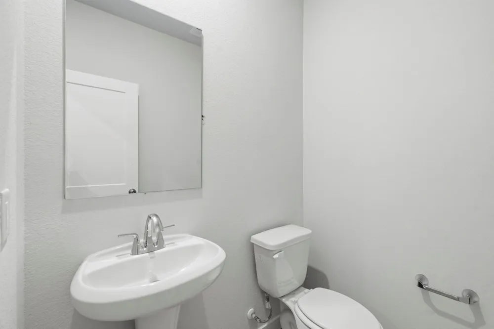 26127 Venus Trap Trail Katy, TX 77493
